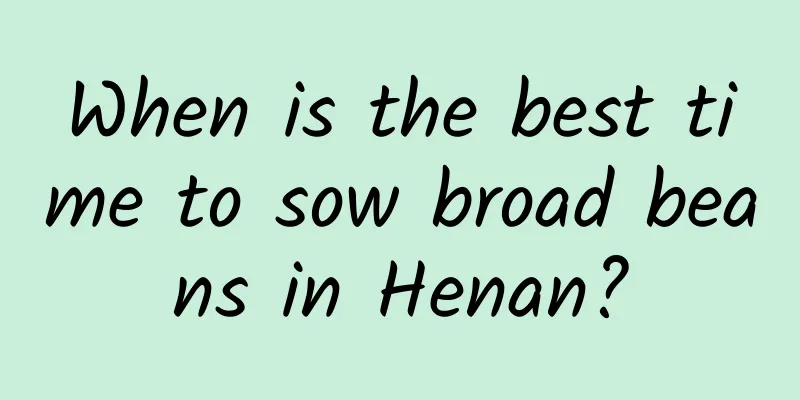 When is the best time to sow broad beans in Henan?