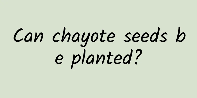Can chayote seeds be planted?