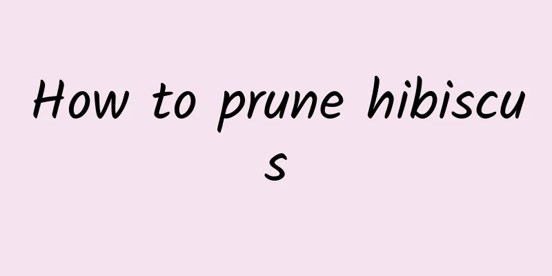 How to prune hibiscus