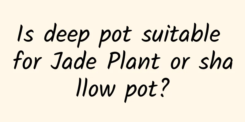 Is deep pot suitable for Jade Plant or shallow pot?