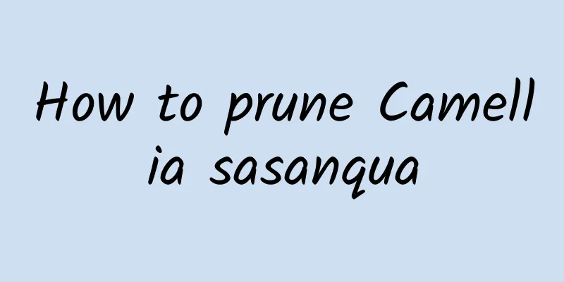 How to prune Camellia sasanqua