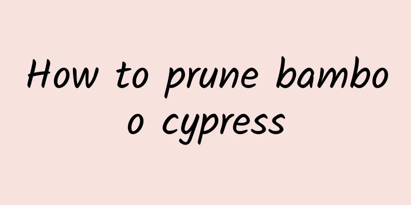 How to prune bamboo cypress