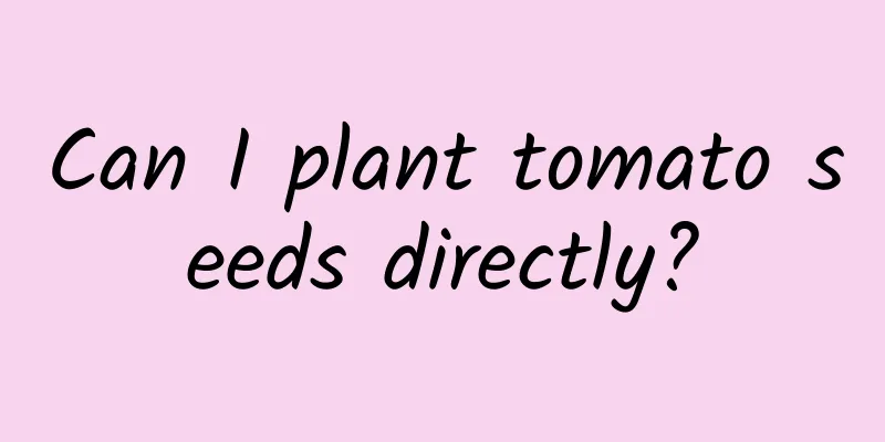 Can I plant tomato seeds directly?