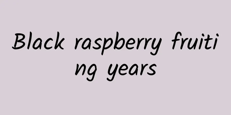 Black raspberry fruiting years