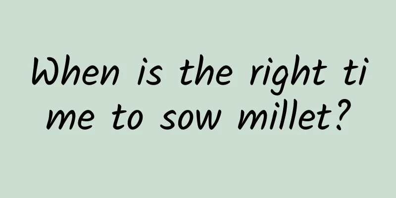 When is the right time to sow millet?