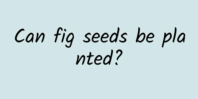 Can fig seeds be planted?