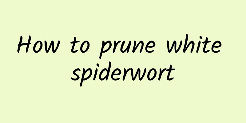 How to prune white spiderwort