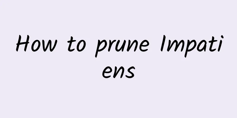 How to prune Impatiens