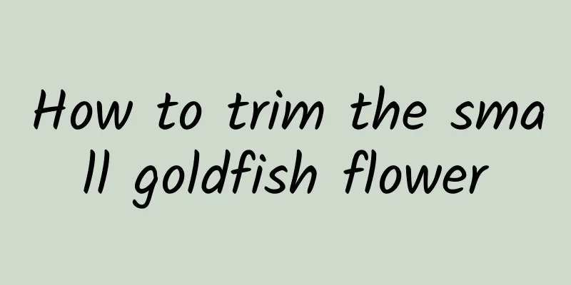 How to trim the small goldfish flower