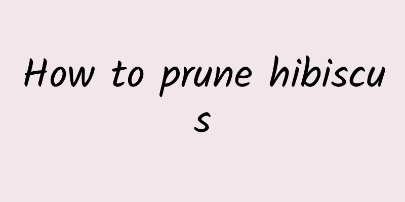 How to prune hibiscus