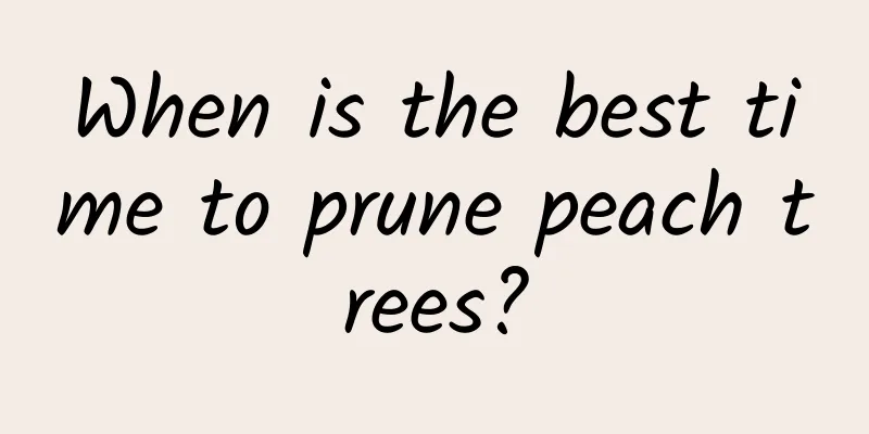 When is the best time to prune peach trees?