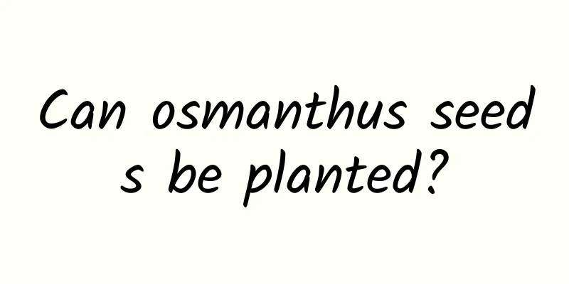 Can osmanthus seeds be planted?
