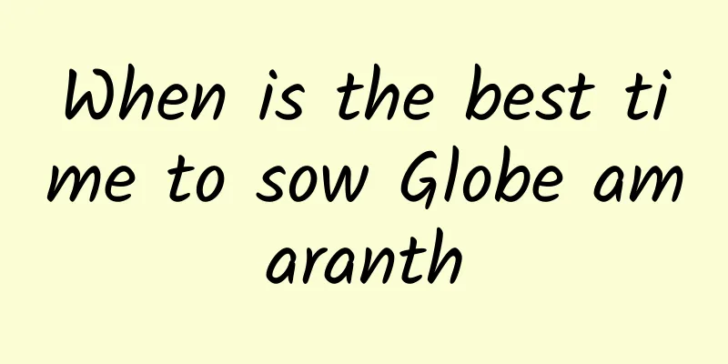 When is the best time to sow Globe amaranth
