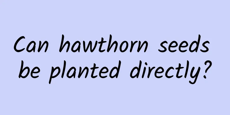 Can hawthorn seeds be planted directly?