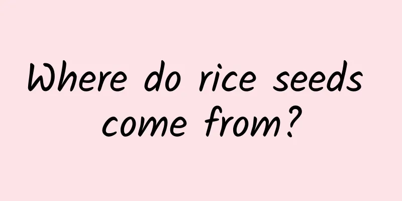 Where do rice seeds come from?