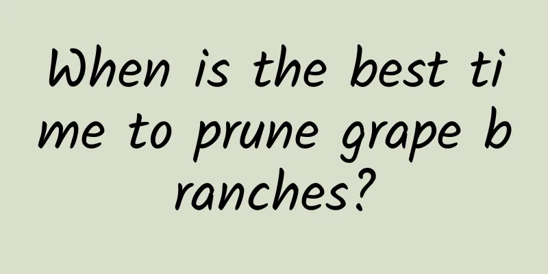 When is the best time to prune grape branches?