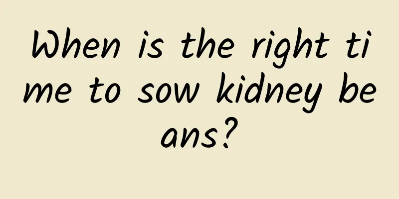 When is the right time to sow kidney beans?