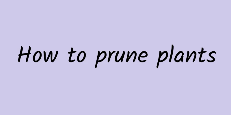 How to prune plants