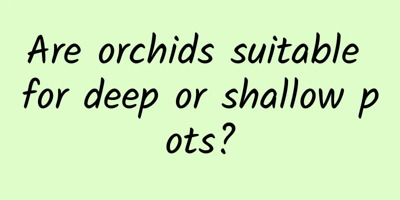 Are orchids suitable for deep or shallow pots?