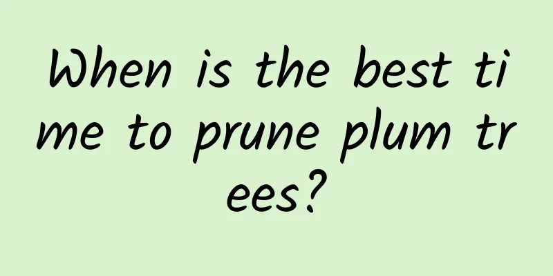 When is the best time to prune plum trees?