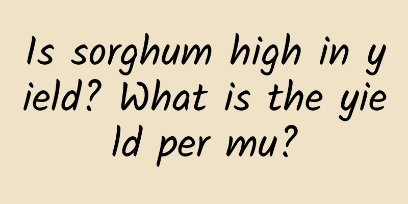 Is sorghum high in yield? What is the yield per mu?