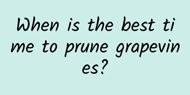 When is the best time to prune grapevines?