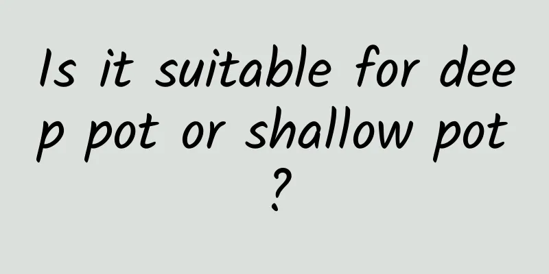 Is it suitable for deep pot or shallow pot?