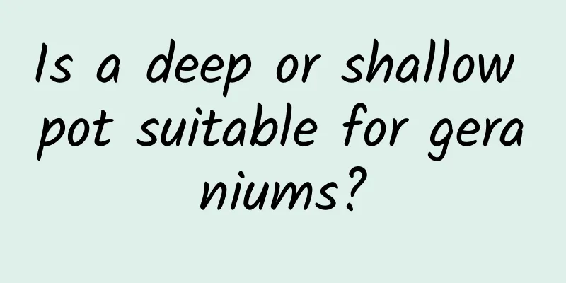 Is a deep or shallow pot suitable for geraniums?