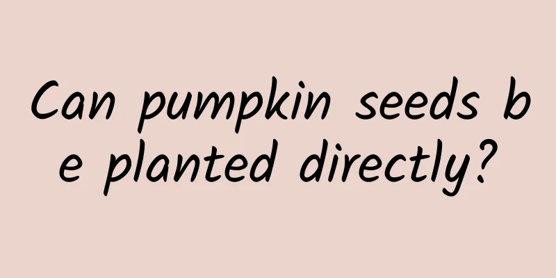 Can pumpkin seeds be planted directly?