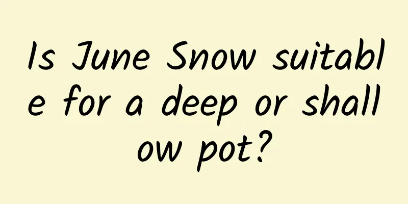 Is June Snow suitable for a deep or shallow pot?