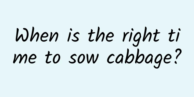 When is the right time to sow cabbage?