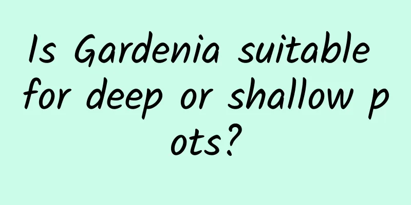 Is Gardenia suitable for deep or shallow pots?