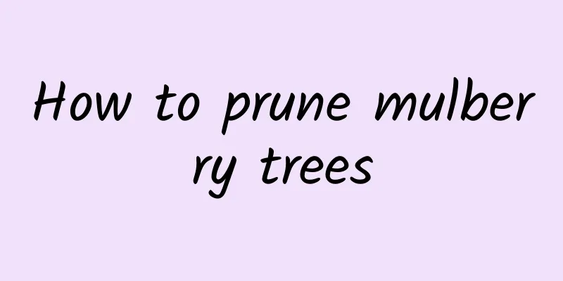 How to prune mulberry trees