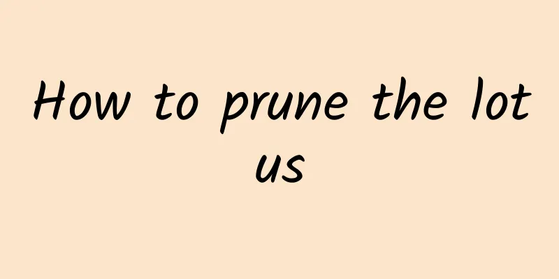 How to prune the lotus