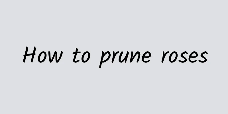 How to prune roses