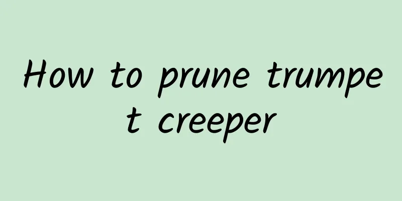 How to prune trumpet creeper