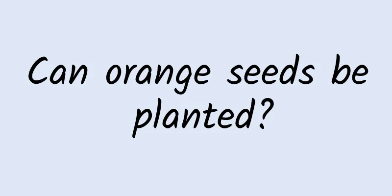 Can orange seeds be planted?