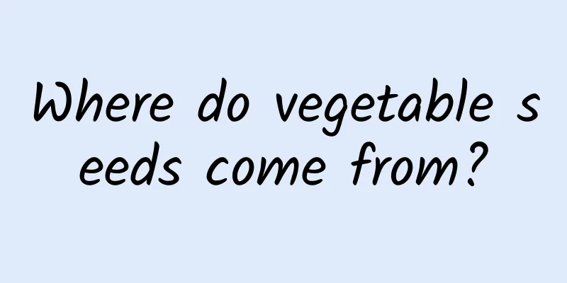 Where do vegetable seeds come from?
