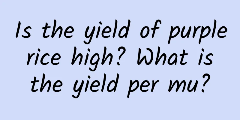 Is the yield of purple rice high? What is the yield per mu?