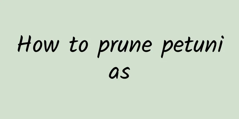 How to prune petunias