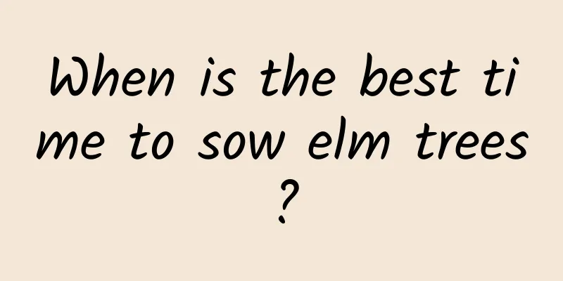When is the best time to sow elm trees?