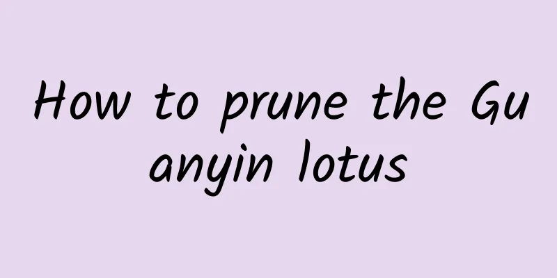 How to prune the Guanyin lotus