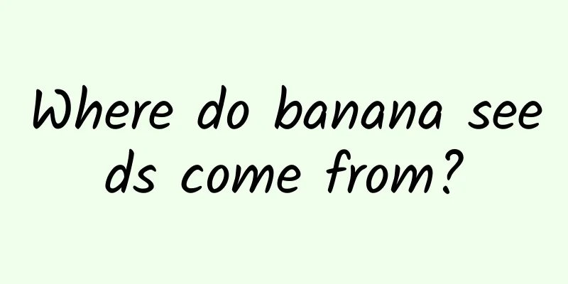 Where do banana seeds come from?