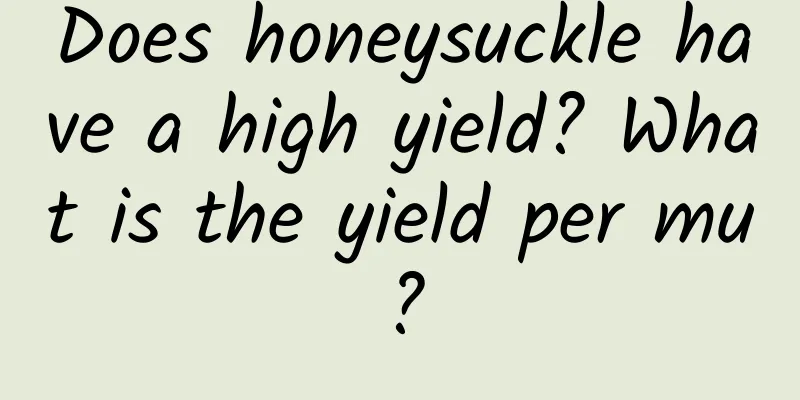 Does honeysuckle have a high yield? What is the yield per mu?