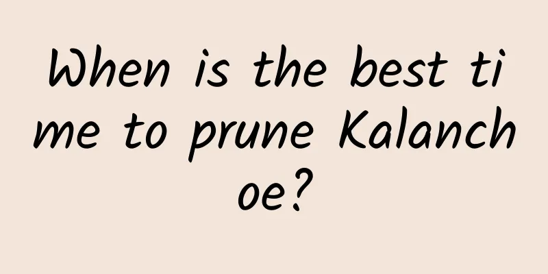 When is the best time to prune Kalanchoe?