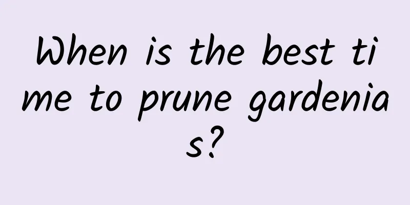 When is the best time to prune gardenias?