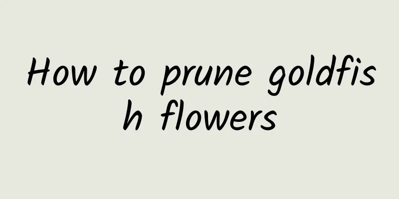 How to prune goldfish flowers