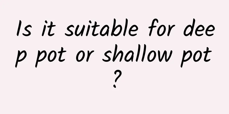 Is it suitable for deep pot or shallow pot?