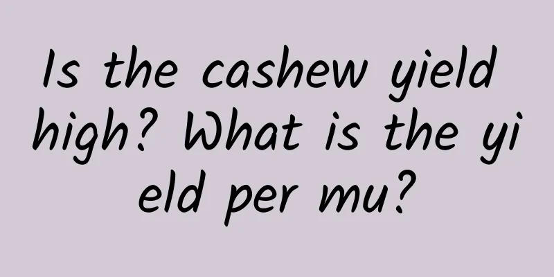 Is the cashew yield high? What is the yield per mu?