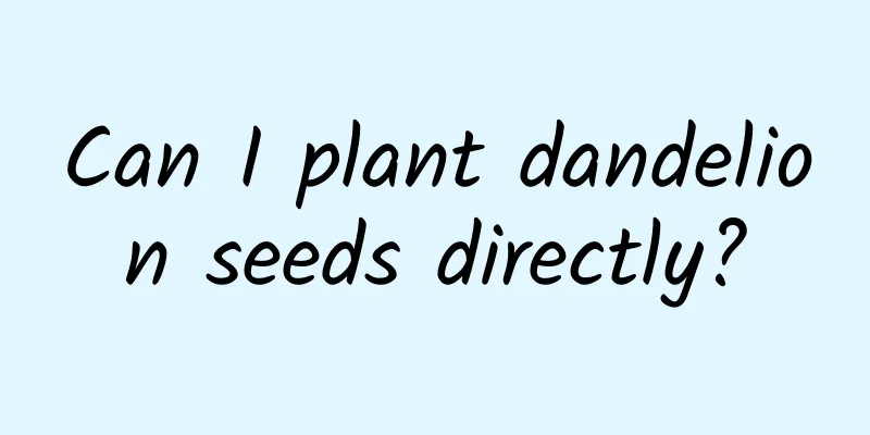 Can I plant dandelion seeds directly?